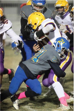 Blue & Gold Hosts Black & Gold To Seek Which Is More Golden Blue & Gold Hosts Black & Gold To Seek Which Is More Golden