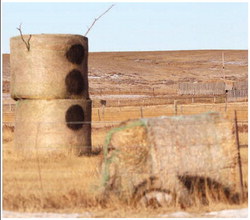 OLAF, the 3-tier hay-bale figure ….