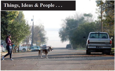 Things, Ideas & People . . .