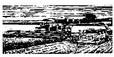 County Extension Service News County Extension Service News