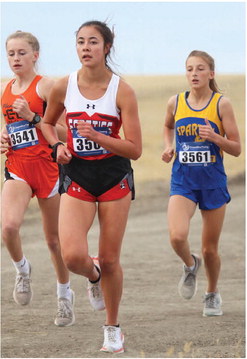 Green Is Not Green When It Comes To X-Country Finishes Green Is Not Green When It Comes To X-Country Finishes