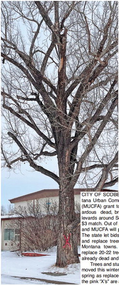 CITY OF SCOBEY is a ….