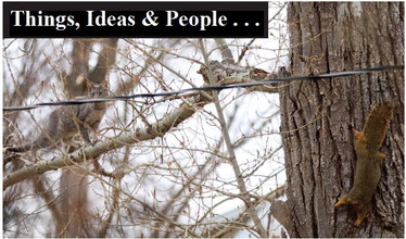 Things, Ideas & People . . .