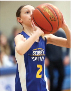 SCOBEY&apos;S HALLE CROMWELL sizes up ….