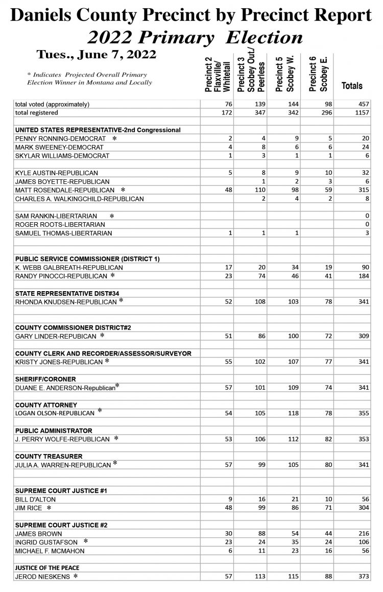 Precinct Primary election results 2022