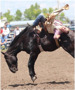 BAREBACK  RIDER  TREVOR ….