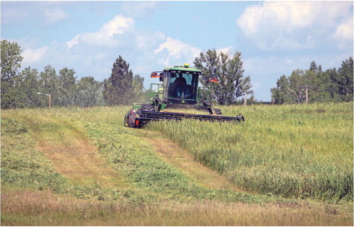 WHAT THE HAY IS GOING ….