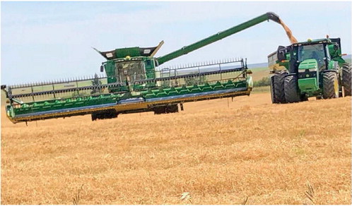 HARVEST IS UNDERWAY IN DANIELS COUNTY
