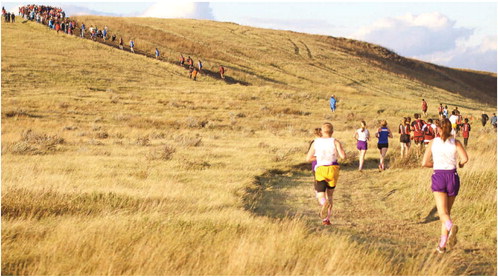 Cross Country Courses . . . from page seven Cross Country Courses . . . from page seven