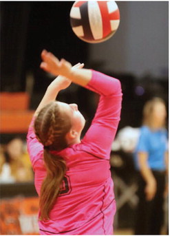 Spartan Spikers Place Third At District Tourney, Savage Is Next Spartan Spikers Place Third At District Tourney, Savage Is Next