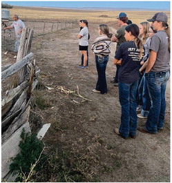 Scobey FFA Program Restarts