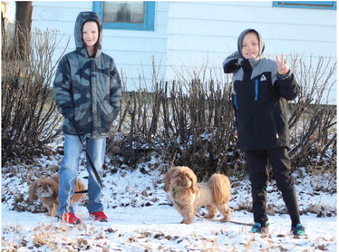 COUSINS CAUGHT WALKING THE DOGS ….