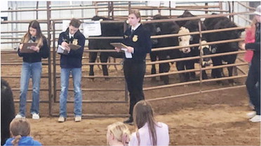 FFA Competition  In Miles City