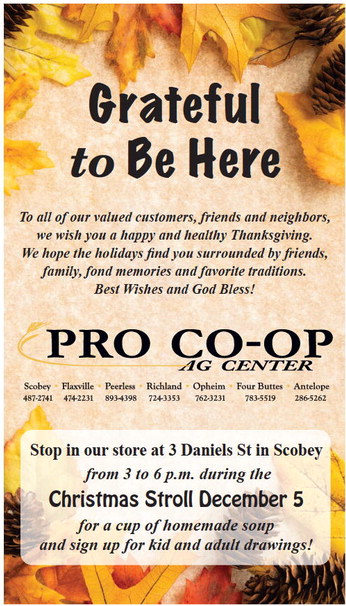 danielscountyleader_20241128_daniels_county_leader_11-28-2024_04_w-or9_art_9.xml
