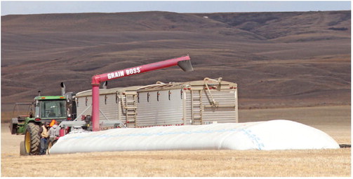 IT’S OFFICIALLY SEEDING SEASON! The ….