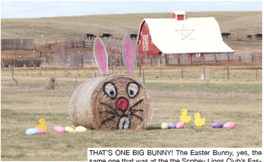 THAT’S ONE BIG BUNNY! The ….