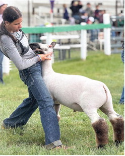 DANIELS COUNTY 4-H MEMBER BROOKLYN ….