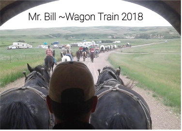 53rd Annual NE Montana Wagon  Train Rides Again