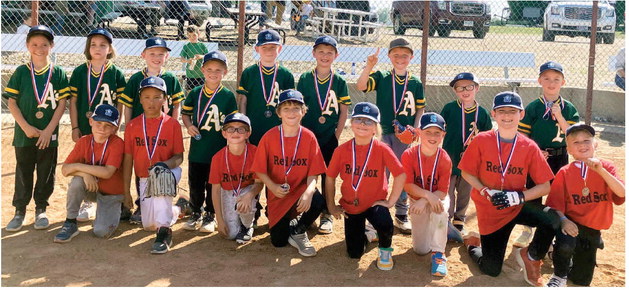 ARMADILLOS ARE THE CHAMPS! – ….