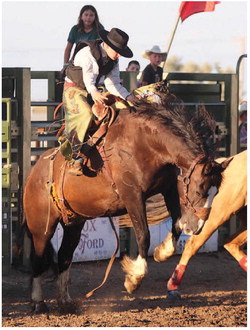 Beautiful And Hot Night For Rodeo! Beautiful And Hot Night For Rodeo!