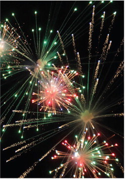 THE SCOBEY LIONS CLUB, a ….