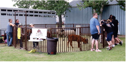 THE OINK, QUACK, MOO PETTING ….