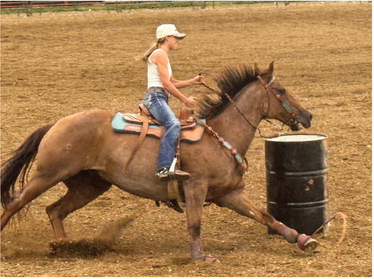 HALLE CROMWELL (top) and BROOKLYN ….
