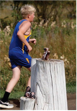 Spartan Harriers  Again Play Host  On Great Course