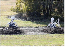 EARLY BIRDS — These two ….