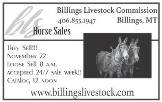 danielscountyleader_20251113_daniels_county_leader_11-13-2025_09_art_5.xml