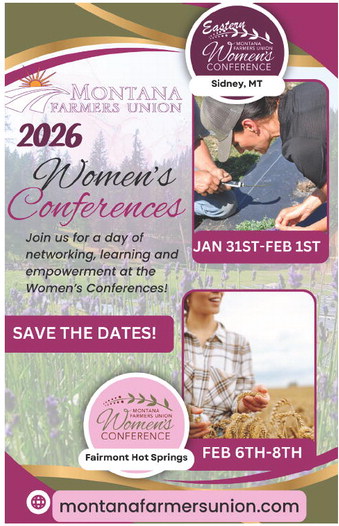 danielscountyleader_20251204_daniels_county_leader_12-04-2025_08_art_11.xml