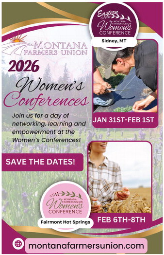 danielscountyleader_20251211_daniels_county_leader_12-11-2025_12_art_3.xml