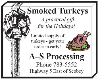 danielscountyleader_20251211_daniels_county_leader_12-11-2025_02_art_2.xml