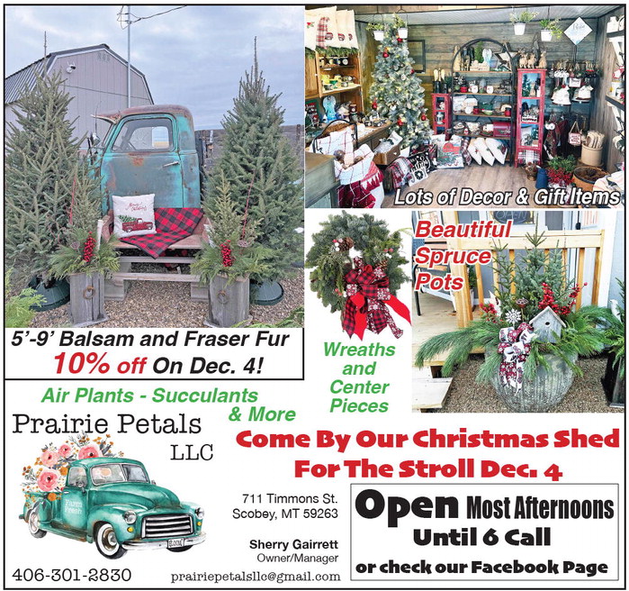 danielscountyleader_20251204_daniels_county_leader_12-04-2025_09_art_6.xml