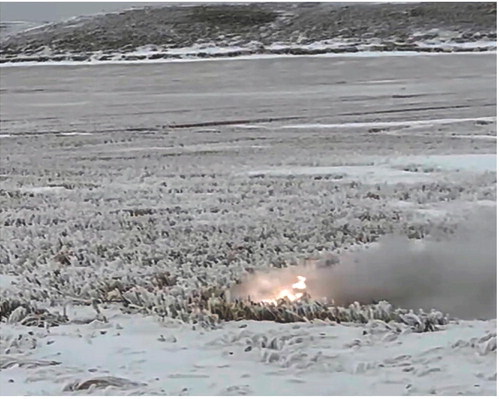 IF YOU LOOK CLOSELY, a ….