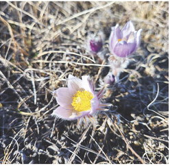 Things, Ideas & People . . .