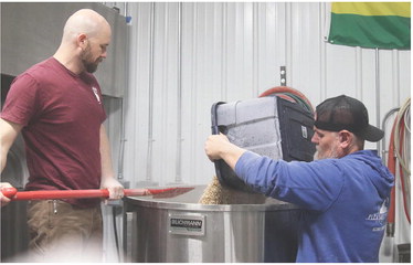 What Is Process  Of Making Beer?