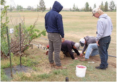 TATE JOHNSRUD’s Eagle Scout project ….