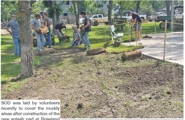 SOD was laid by volunteers ….